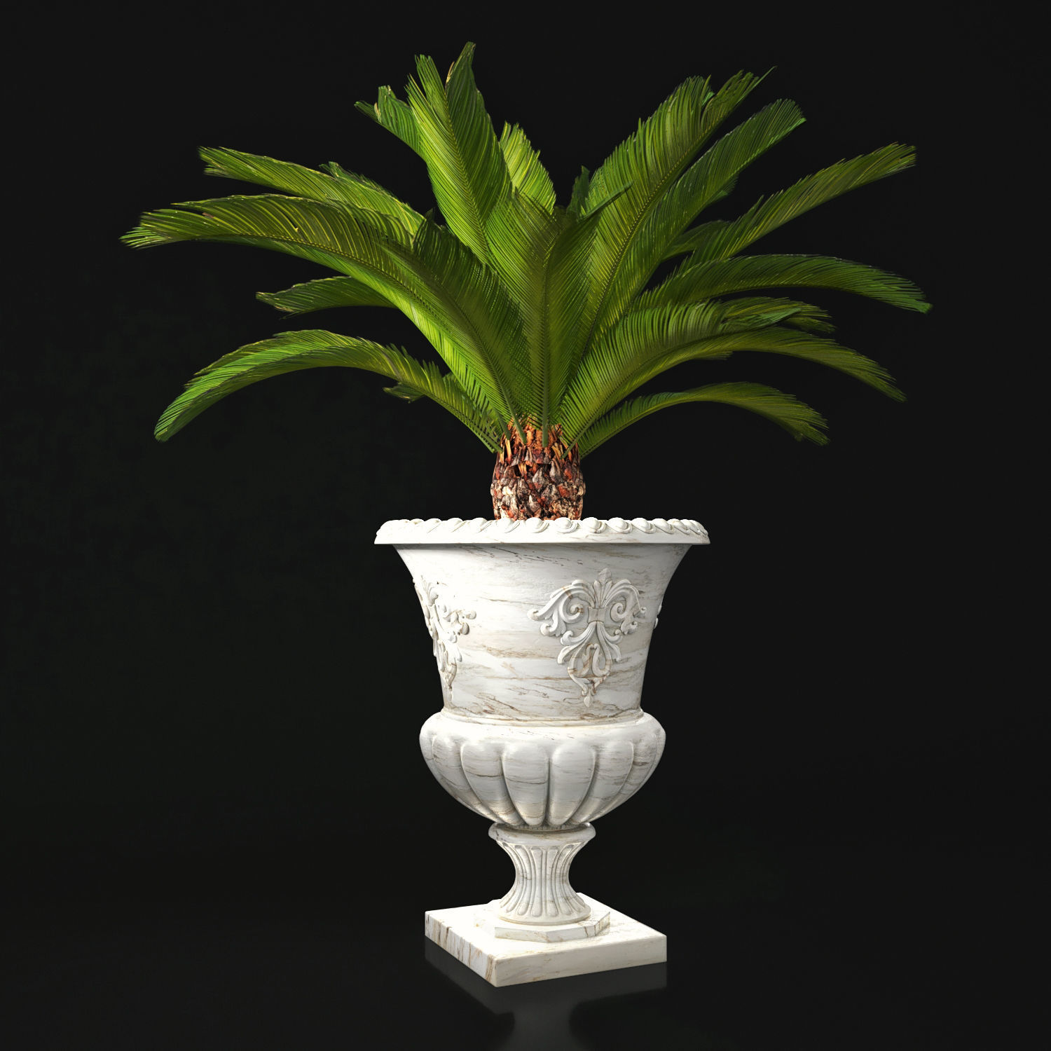 Plant Collection 05 3D model_1