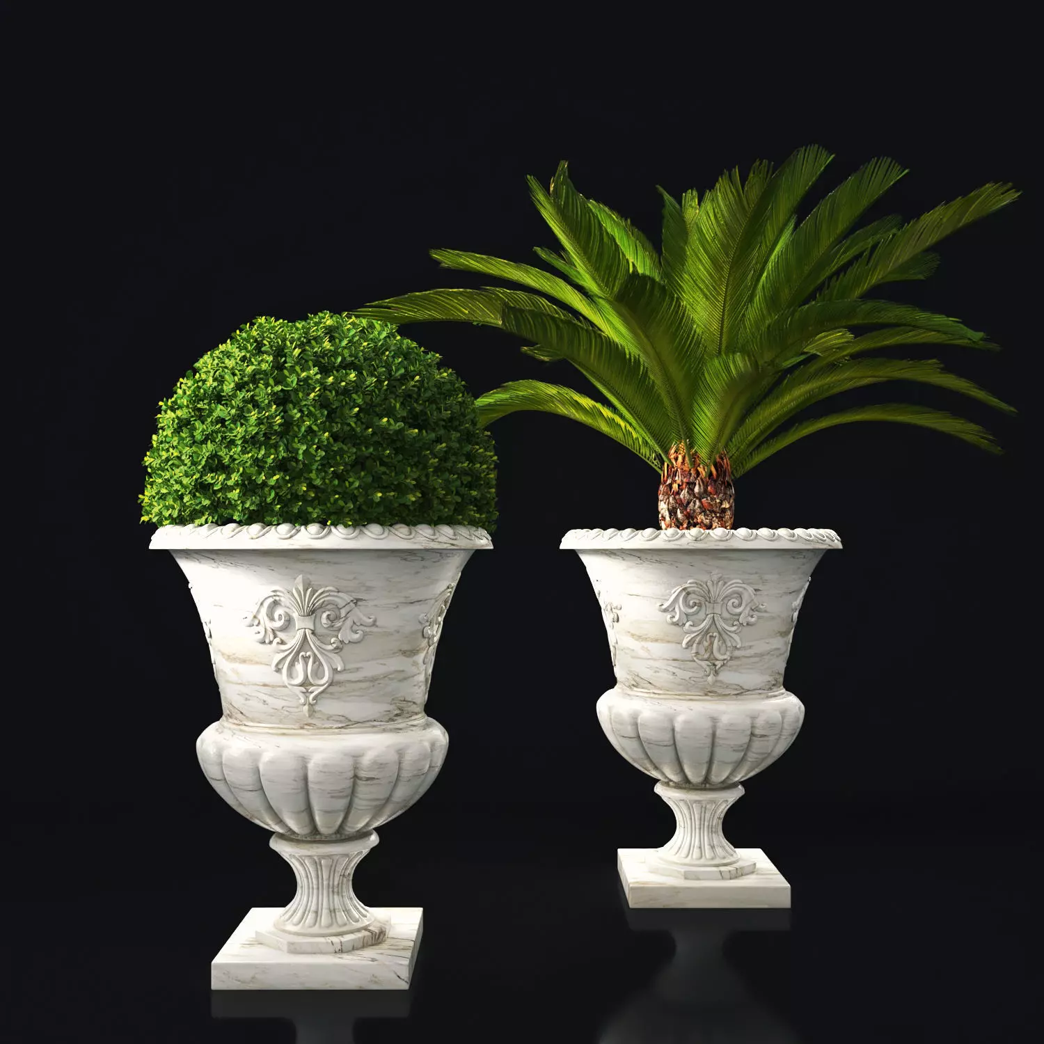 Plant Collection 05 3D model_0