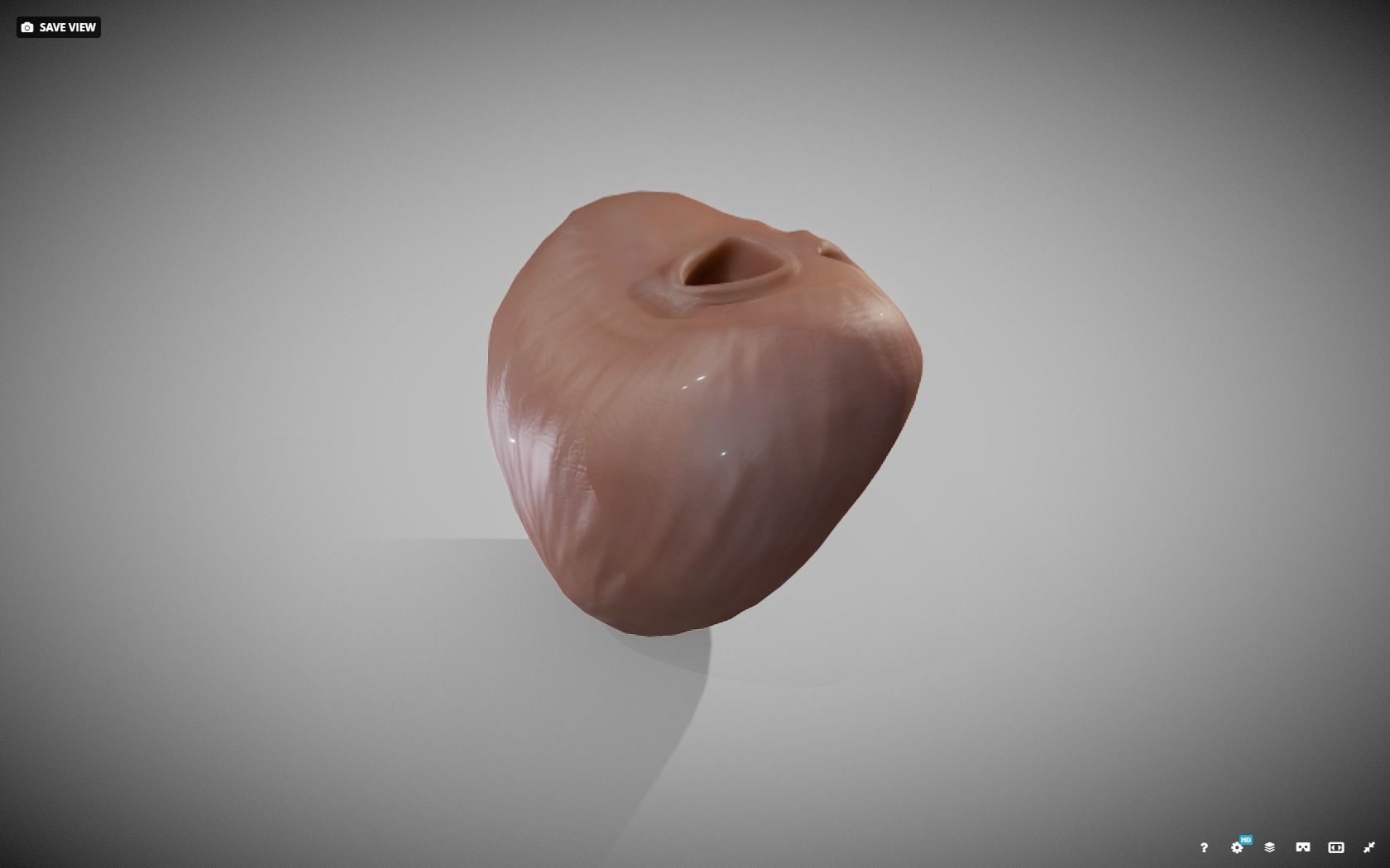 Prostate donut with hole in it Low-poly 3D model_6