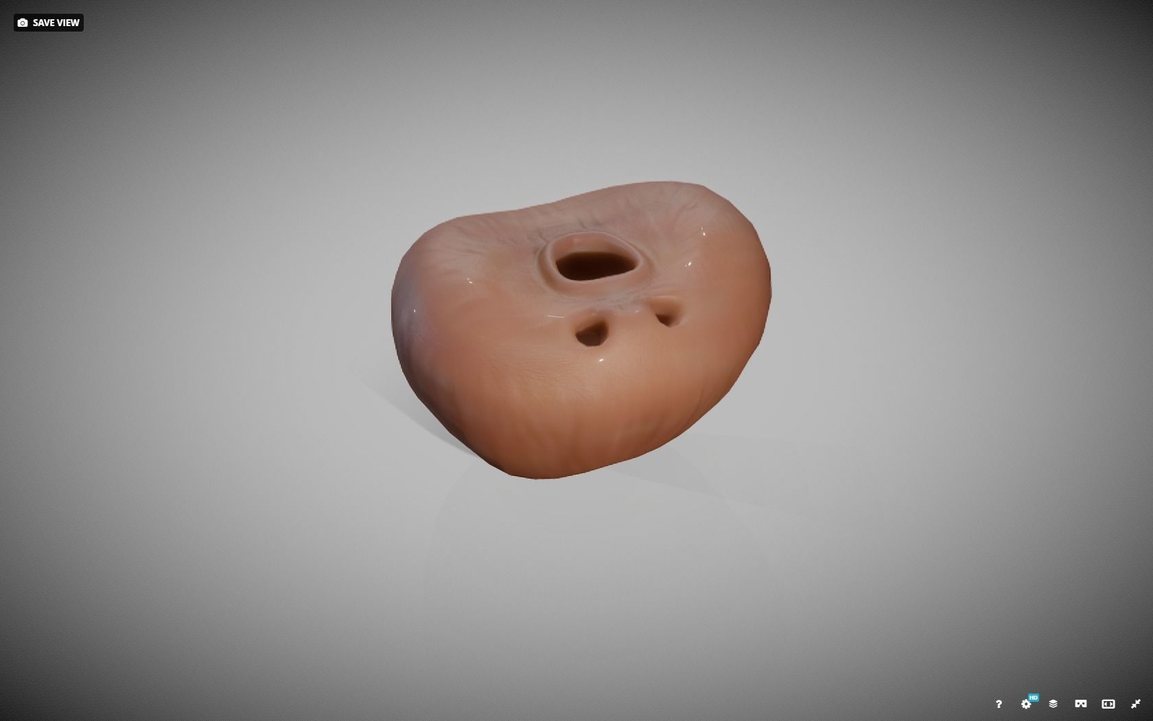 Prostate donut with hole in it Low-poly 3D model_7