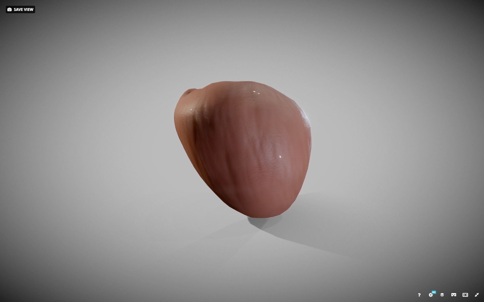 Prostate donut with hole in it Low-poly 3D model_10