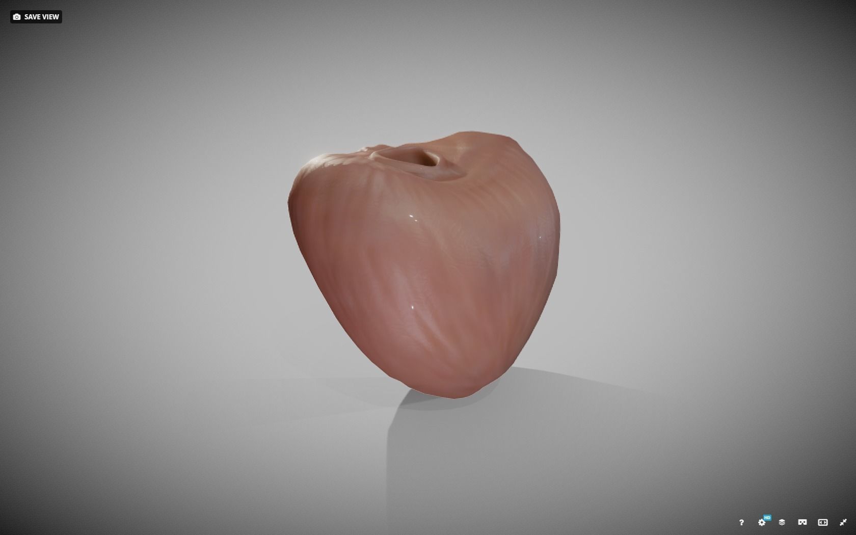 Prostate donut with hole in it Low-poly 3D model_11