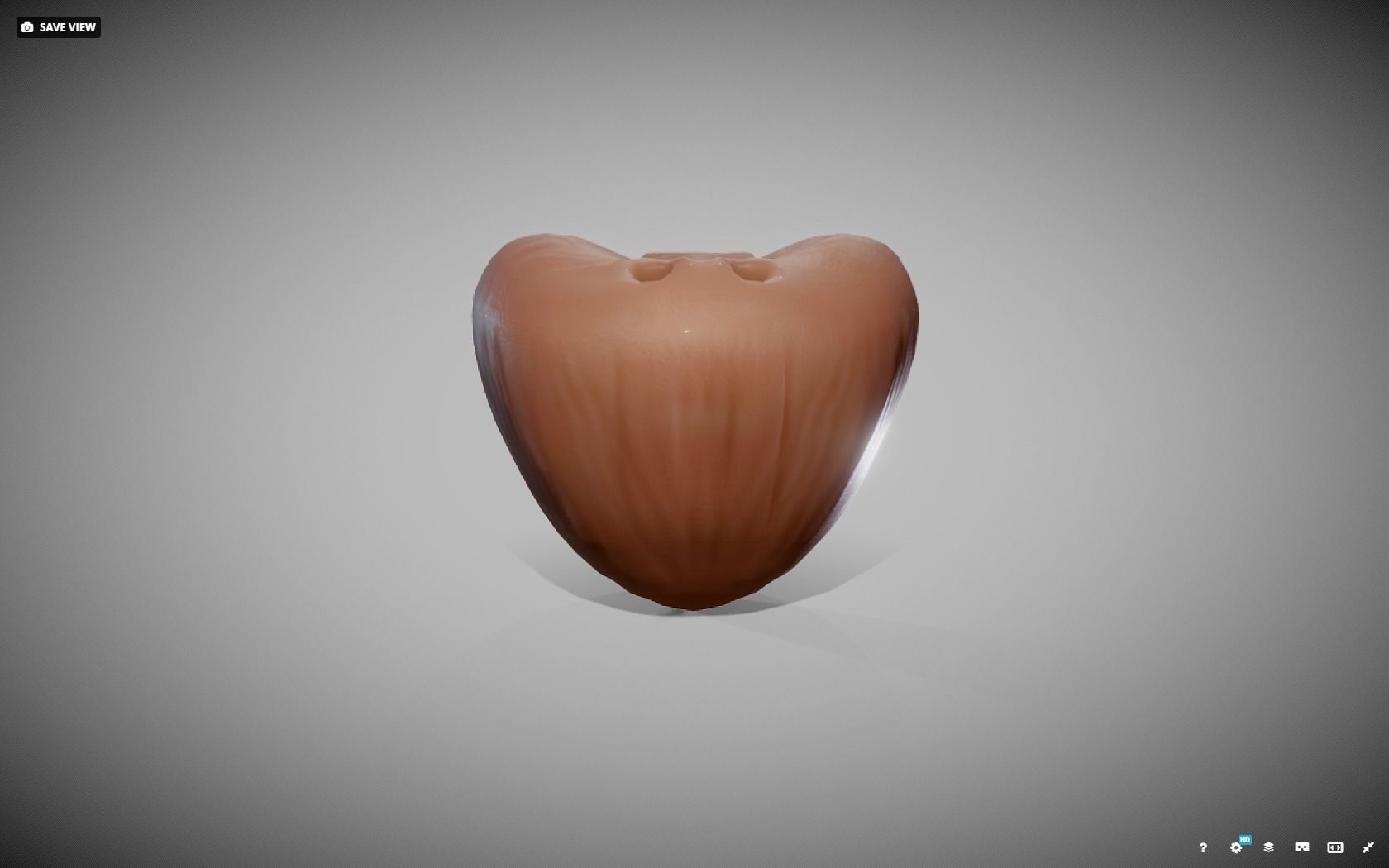 Prostate donut with hole in it Low-poly 3D model_17