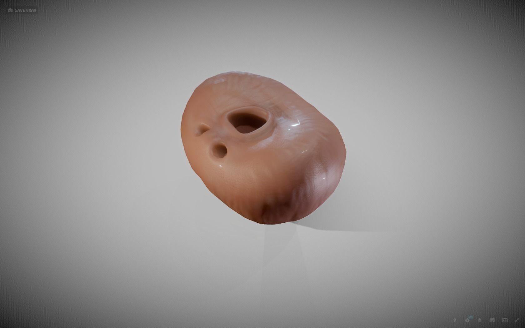 Prostate donut with hole in it Low-poly 3D model_8