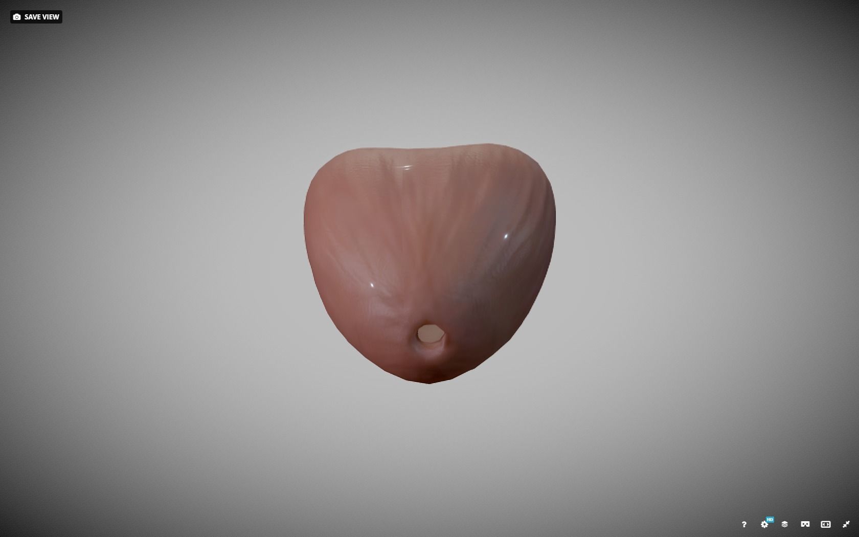 Prostate donut with hole in it Low-poly 3D model_16