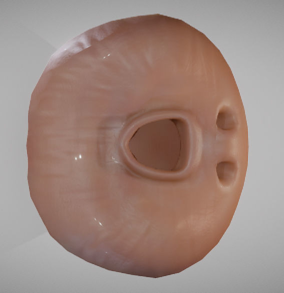 Prostate donut with hole in it Low-poly 3D model_1