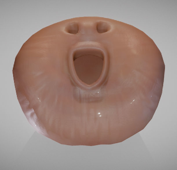 Prostate donut with hole in it Low-poly 3D model_4