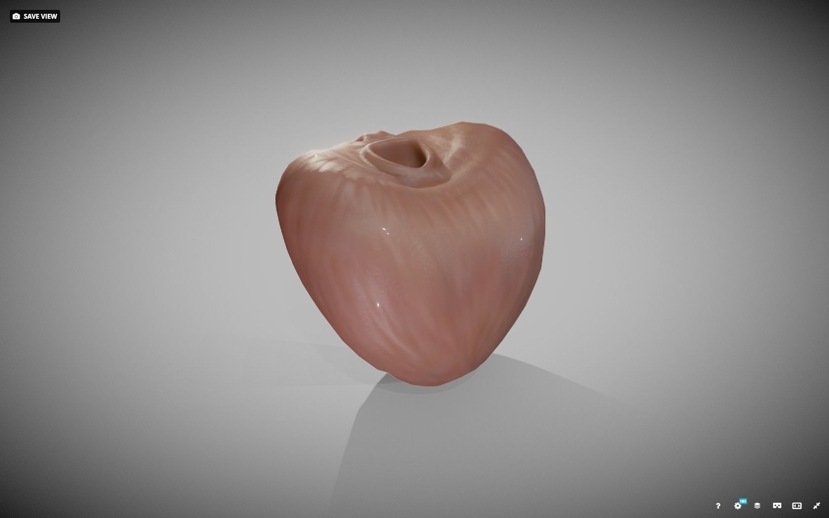Prostate donut with hole in it Low-poly 3D model_5