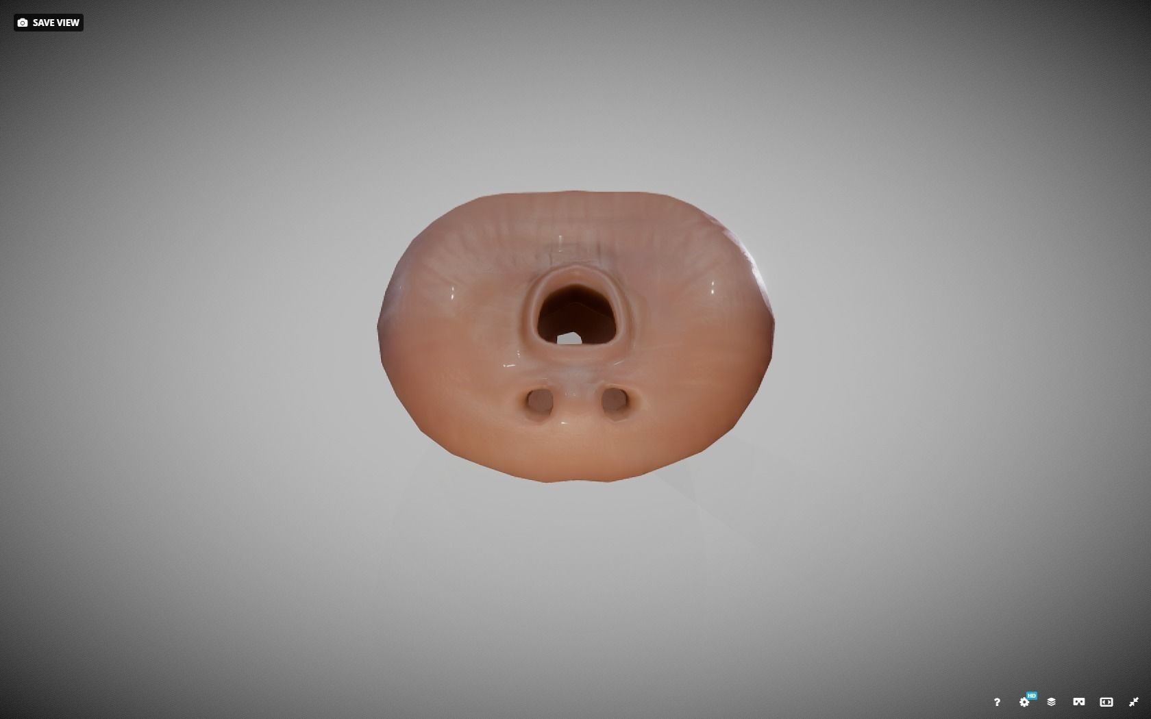 Prostate donut with hole in it Low-poly 3D model_15