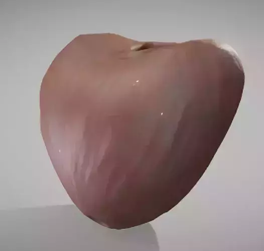 Prostate donut with hole in it