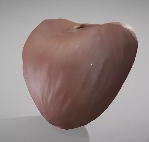 Prostate donut with hole in it Low-poly 3D model_0