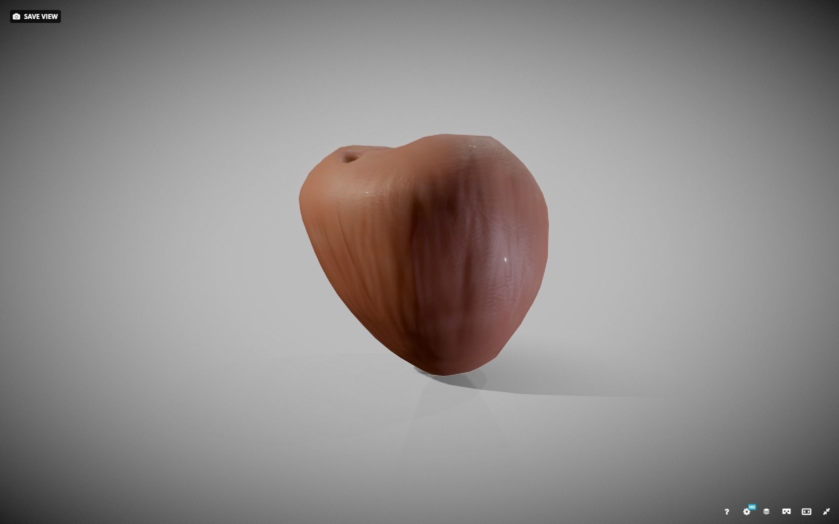 Prostate donut with hole in it Low-poly 3D model_9