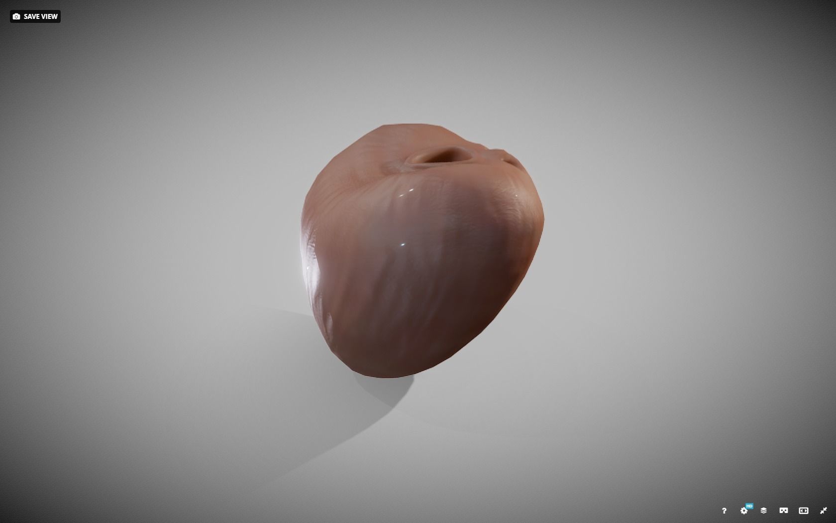 Prostate donut with hole in it Low-poly 3D model_13
