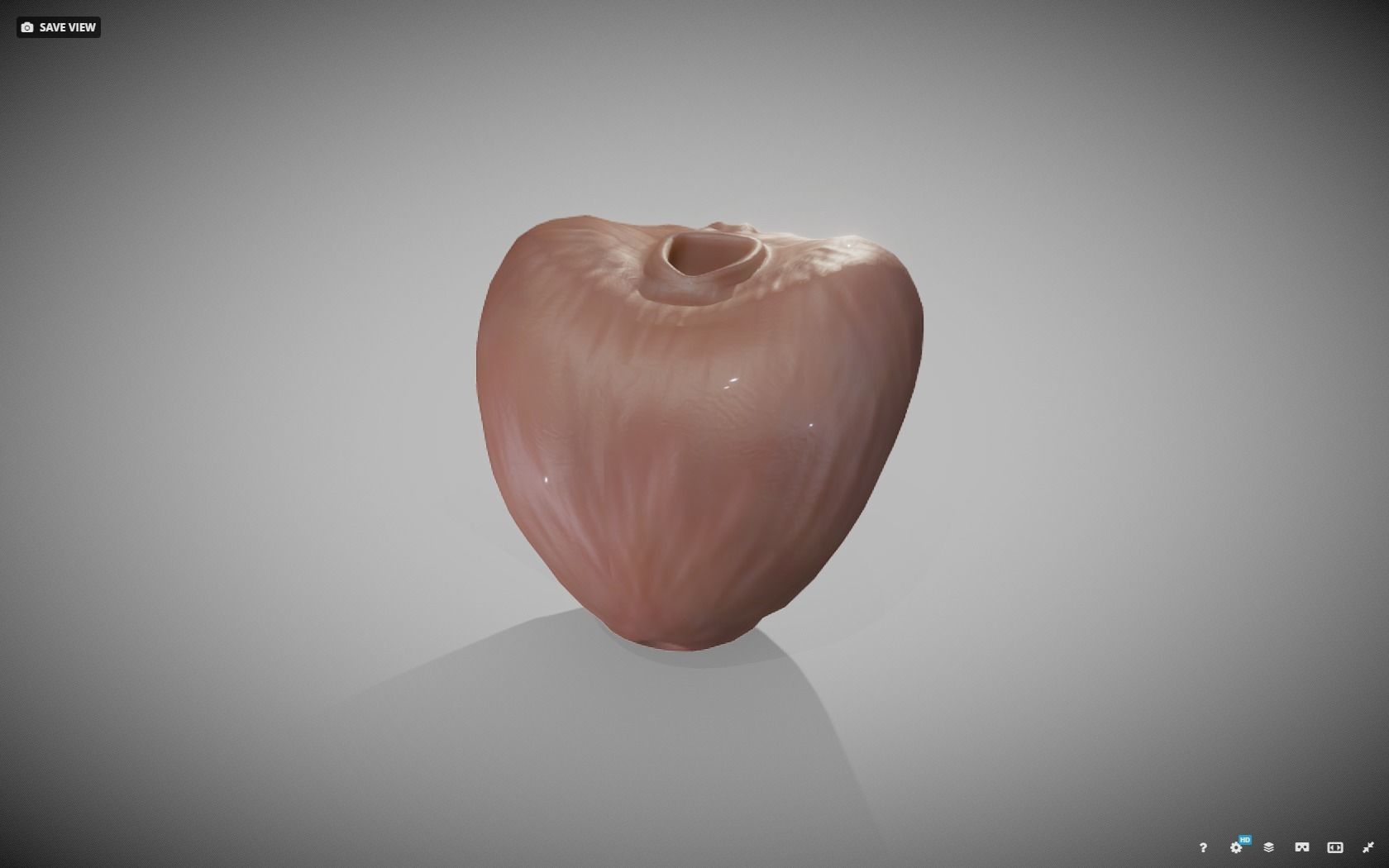 Prostate donut with hole in it Low-poly 3D model_12