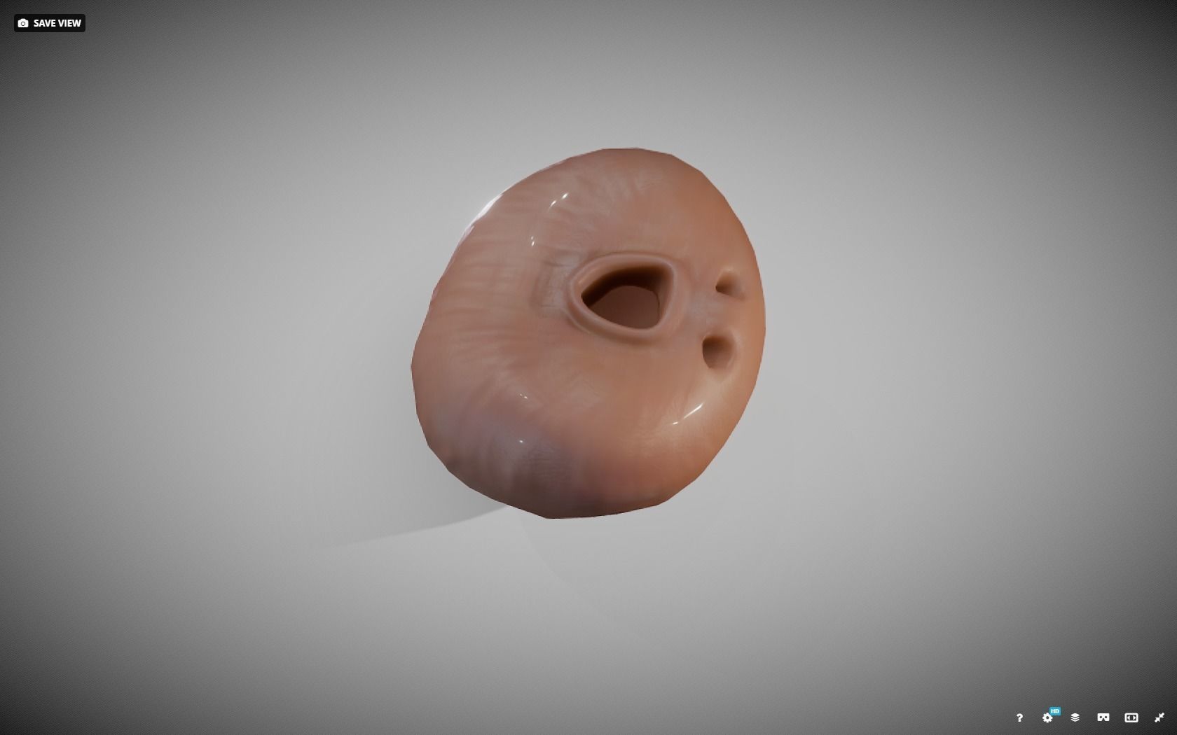 Prostate donut with hole in it Low-poly 3D model_14