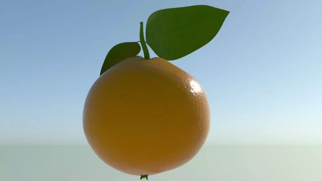 Orange with leaf 3D model_0