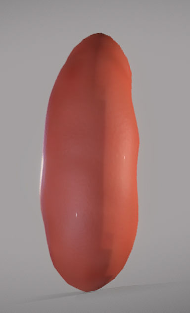 Kidney ball Low-poly 3D model_3