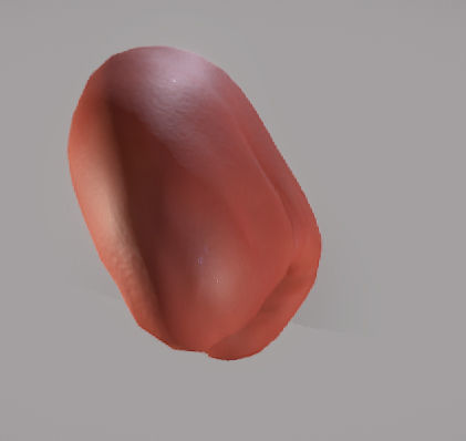 Kidney ball Low-poly 3D model_7