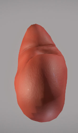 Kidney ball Low-poly 3D model_6