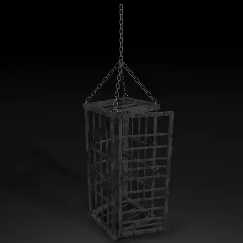 Dungeon Hanging Cage