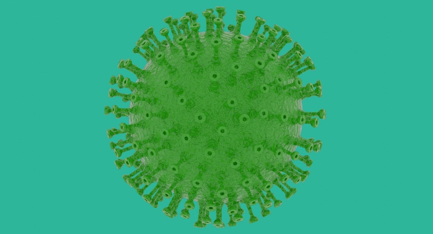 Coronavirus in Blender and stl 3D model_11