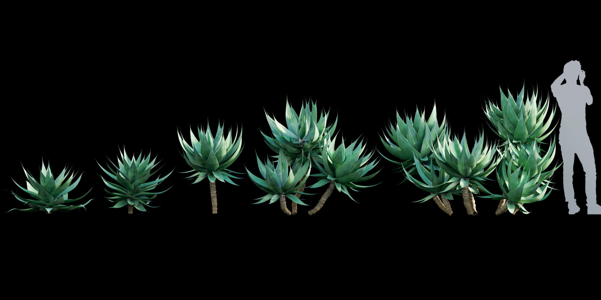 3DTree Bundle 01 - Mediterranean Garden  3D model_2