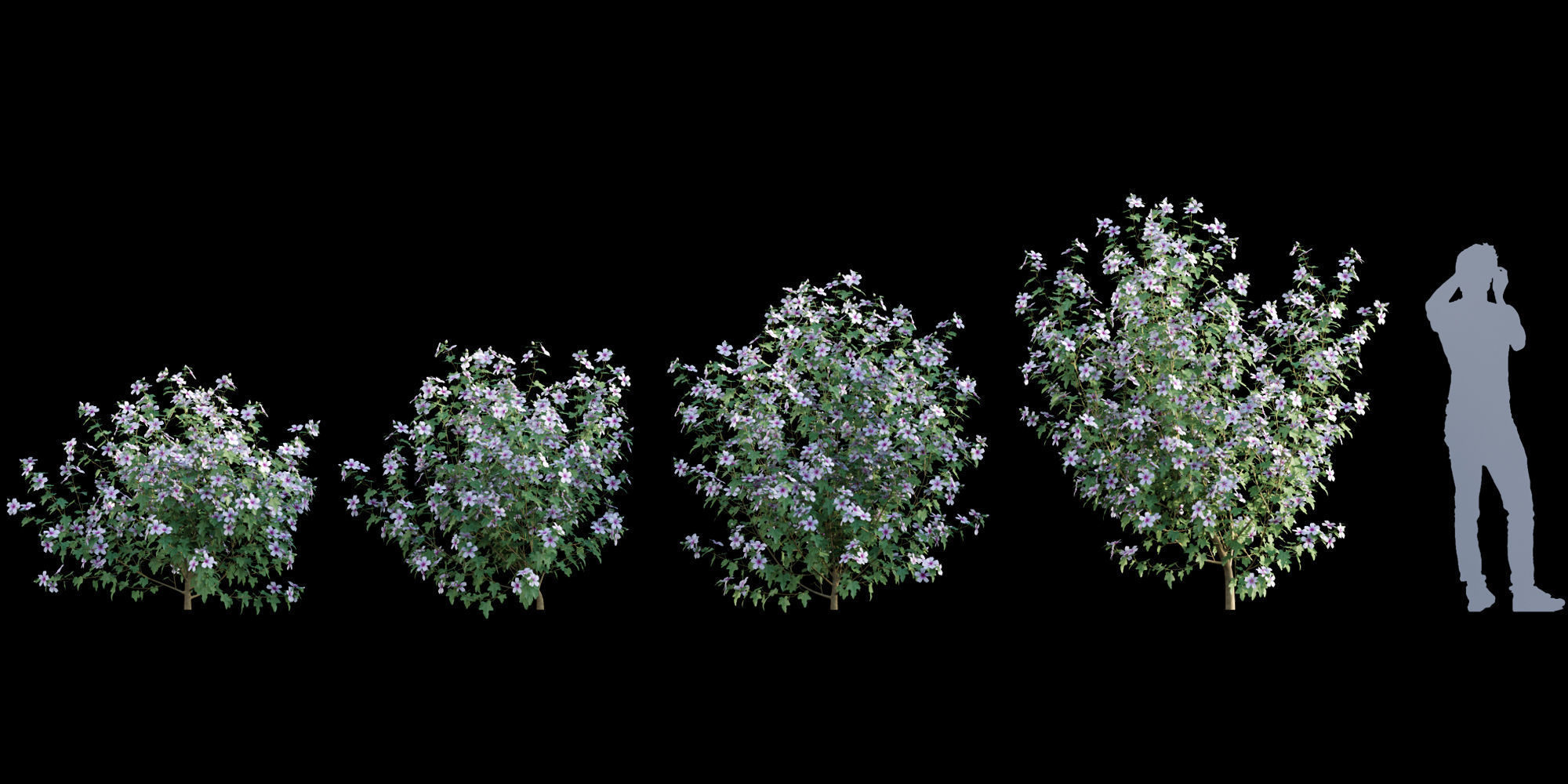 3DTree Bundle 01 - Mediterranean Garden  3D model_7