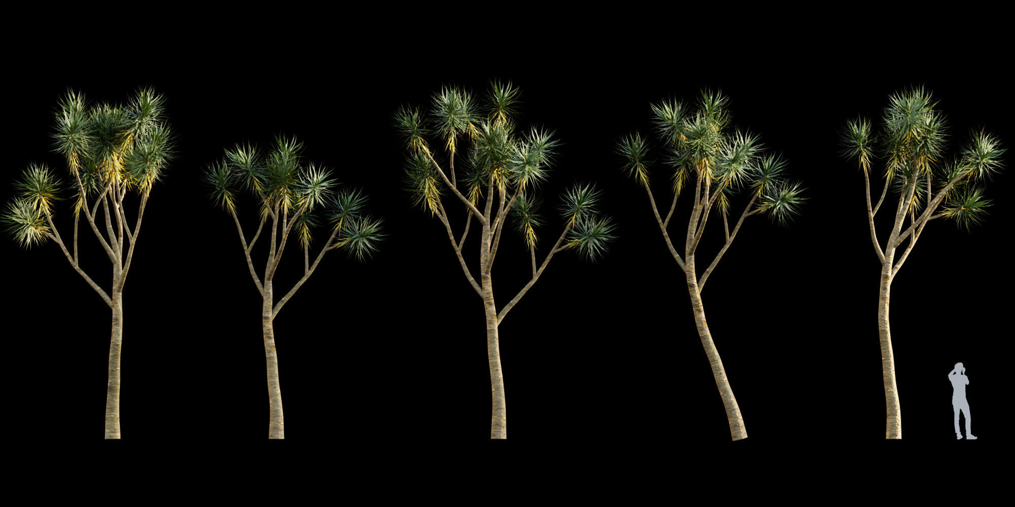 3DTree Bundle 01 - Mediterranean Garden  3D model_10