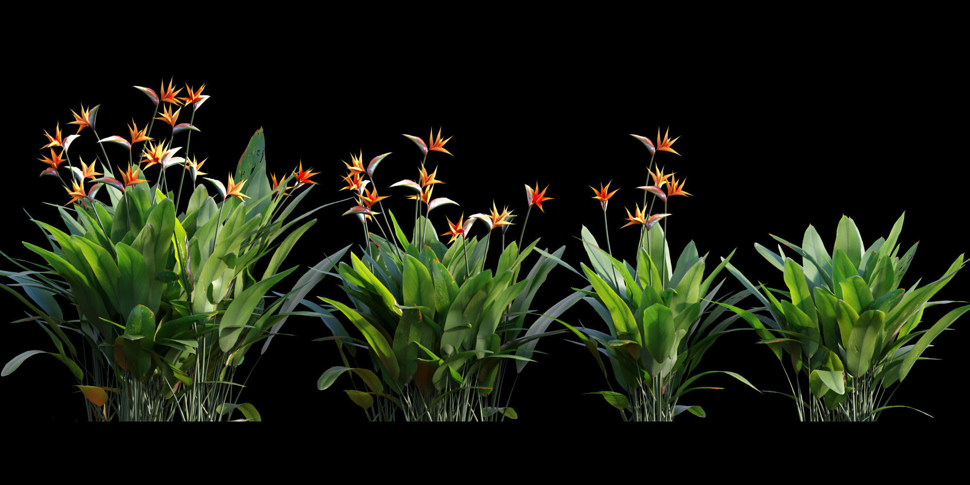 3DTree Bundle 01 - Mediterranean Garden  3D model_9