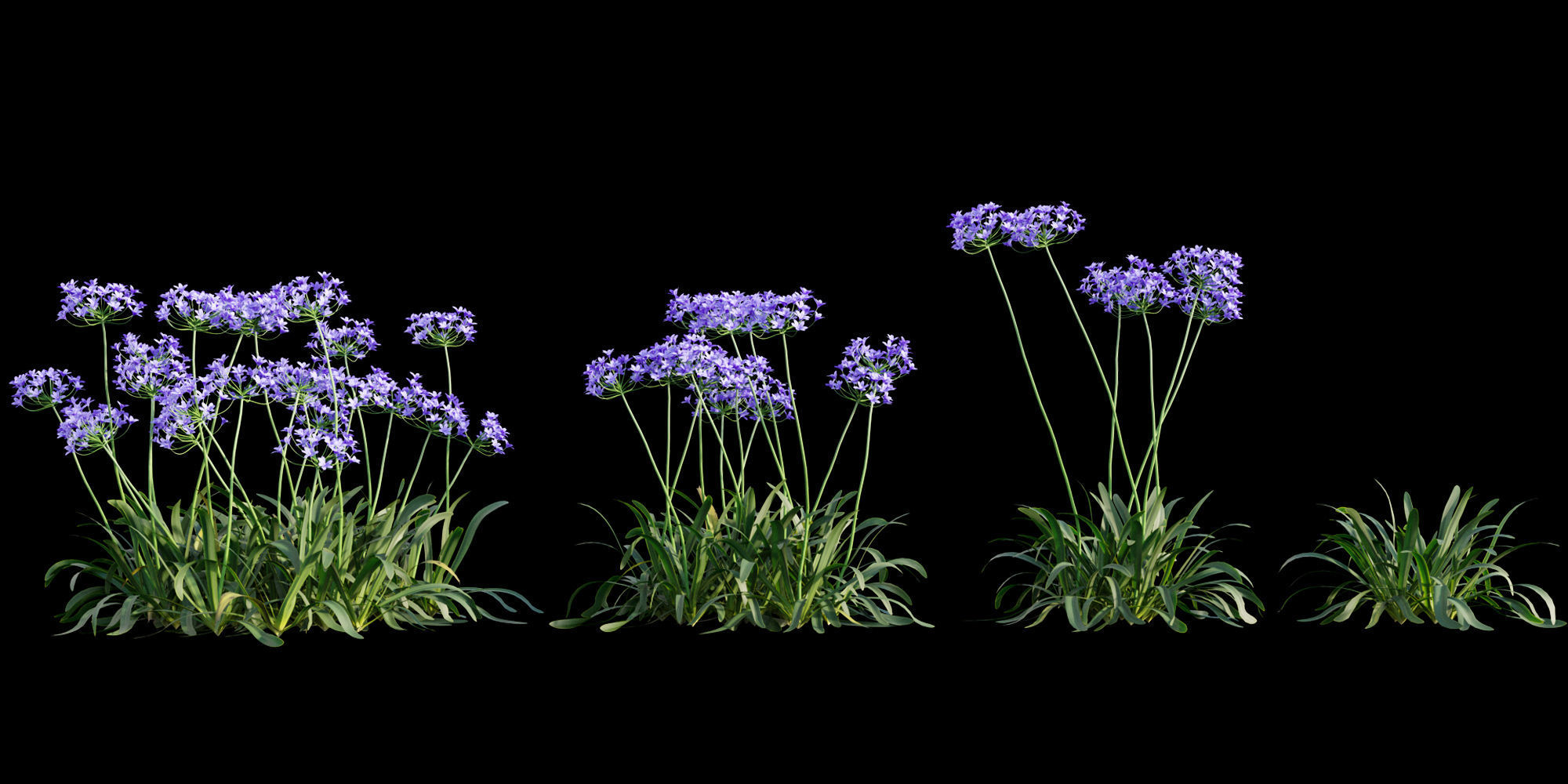 3DTree Bundle 01 - Mediterranean Garden  3D model_1