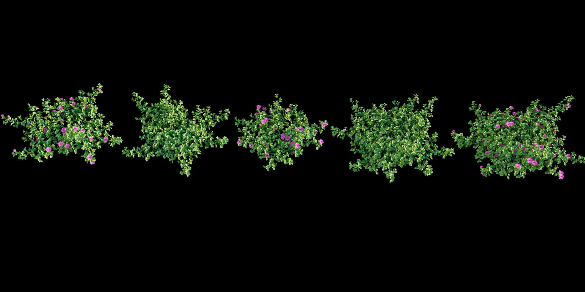 3DTree Bundle 01 - Mediterranean Garden  3D model_3