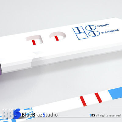 Pregnancy test 3 3D model_2