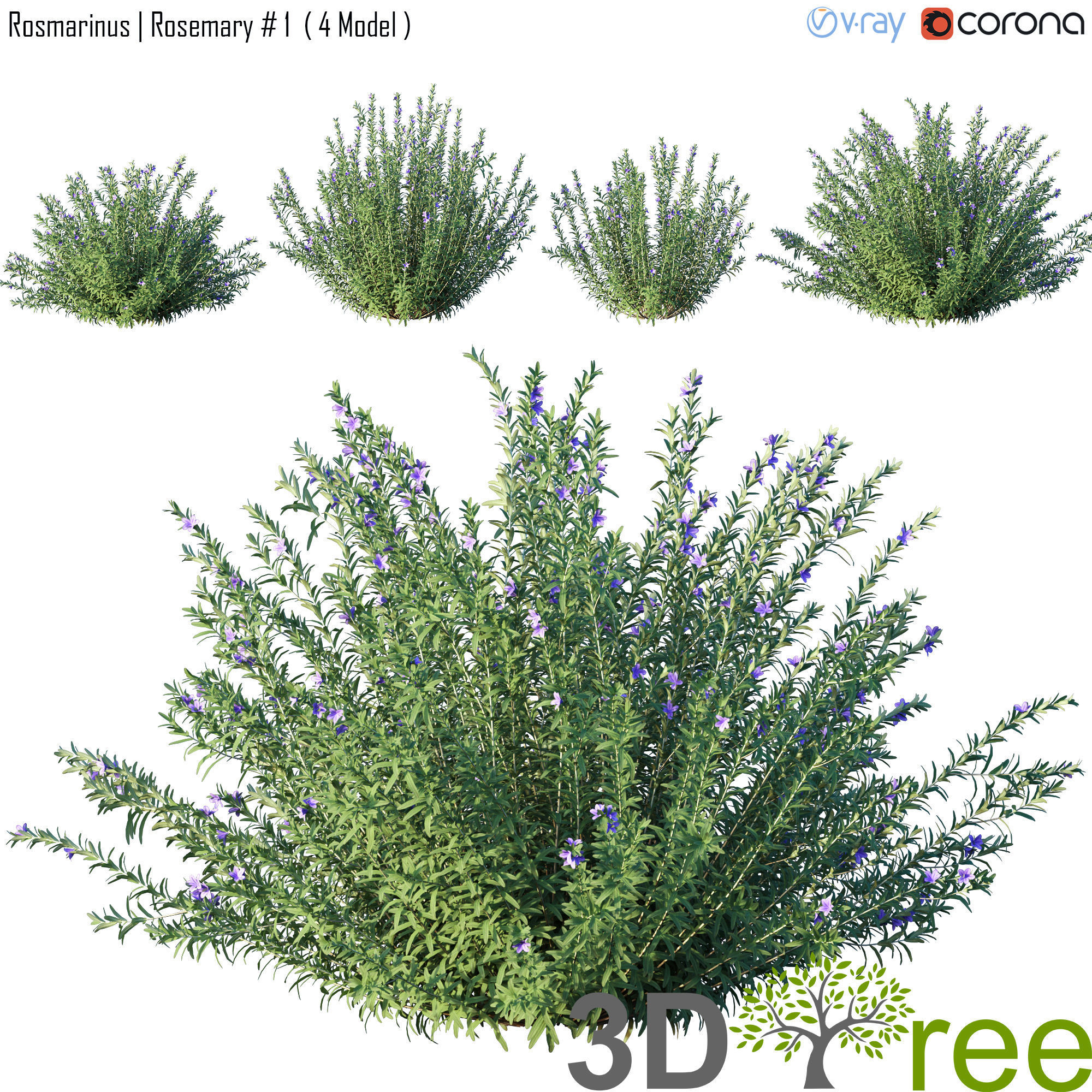 3DTree Bundle 02 - Mediterranean Garden  3D model_8