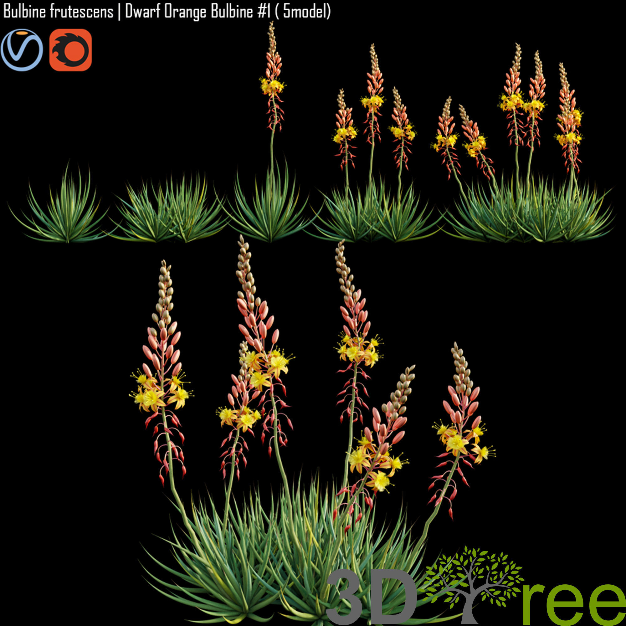 3DTree Bundle 02 - Mediterranean Garden  3D model_4