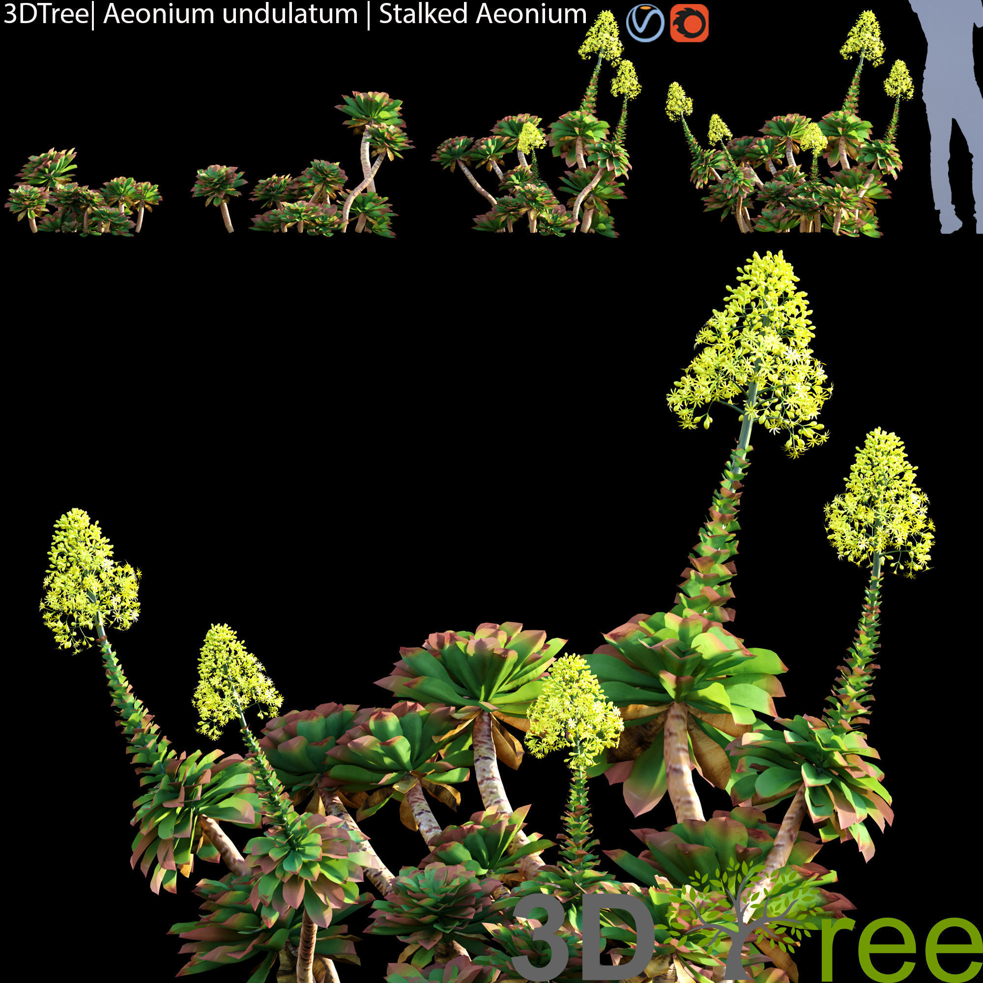 3DTree Bundle 02 - Mediterranean Garden  3D model_1