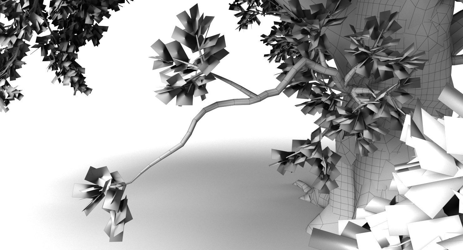 Oak Tree 3D model_13