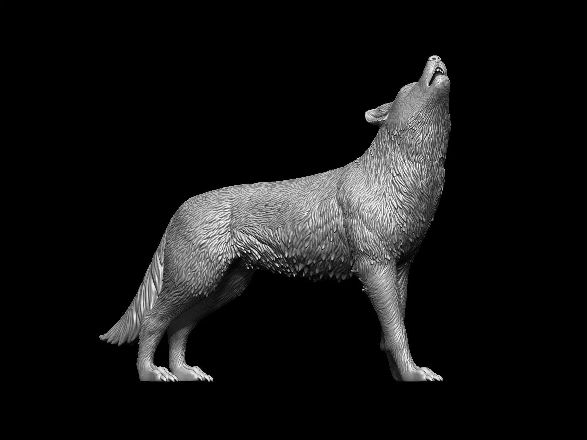 Howling Wolf 3D print model