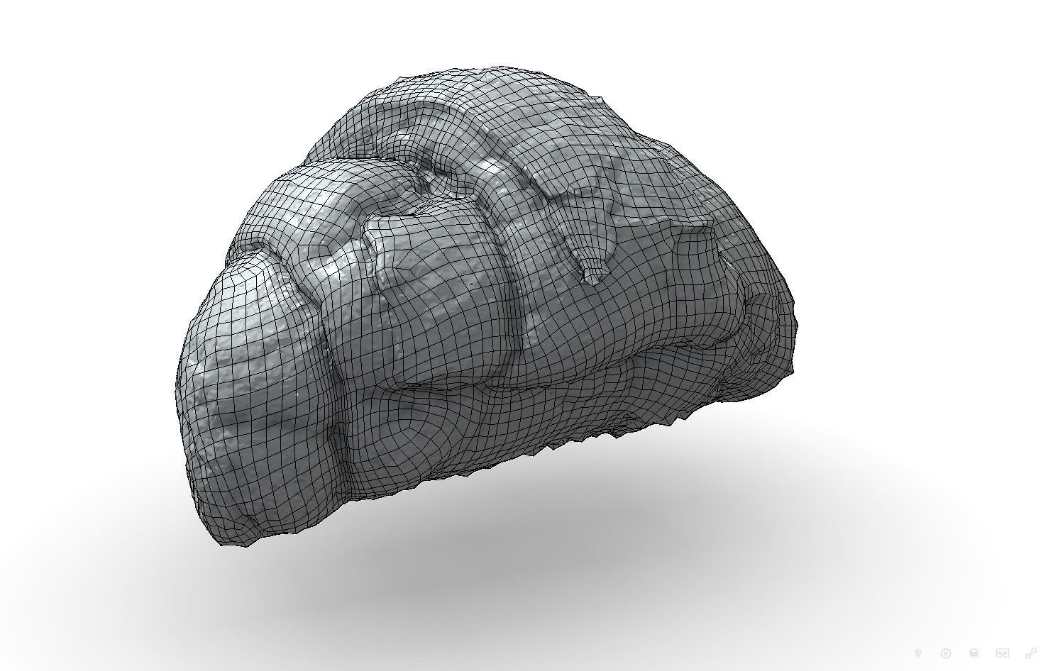 French croissant scan PBR model Low-poly 3D model_10