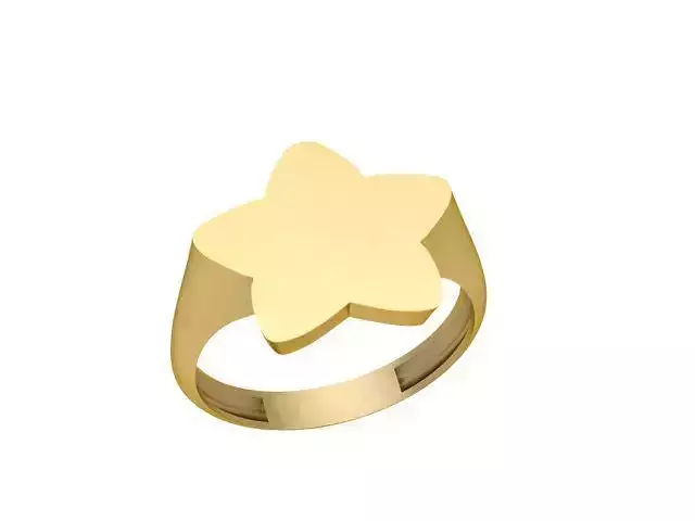 Geometric ring 8