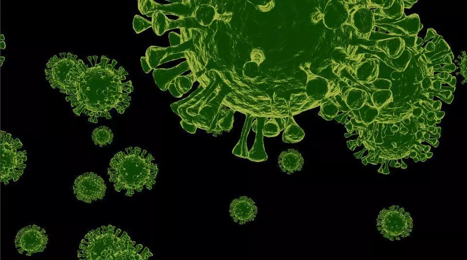 Corona Virus model 3D model