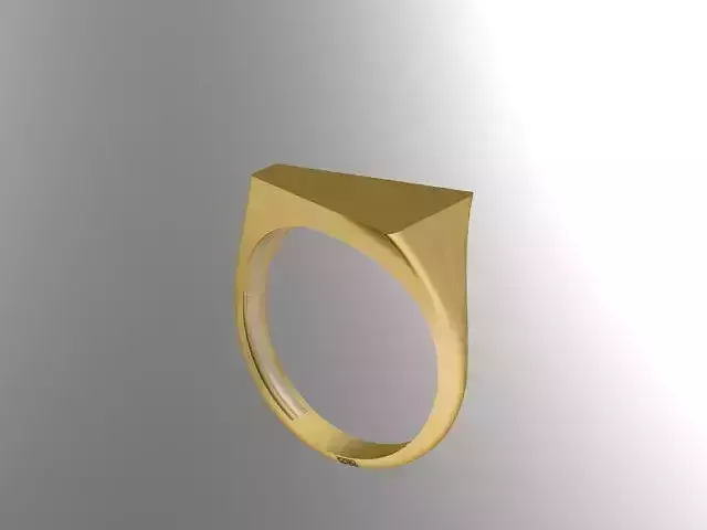 Geometric ring 29
