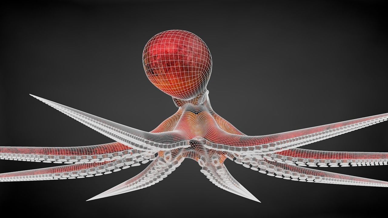 Pacific Octopus Rigged Animated C4D Low-poly 3D model_38