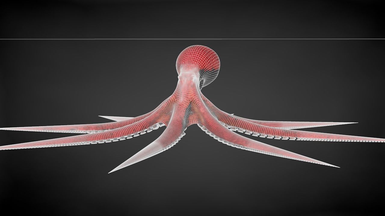 Pacific Octopus Rigged Animated C4D Low-poly 3D model_35