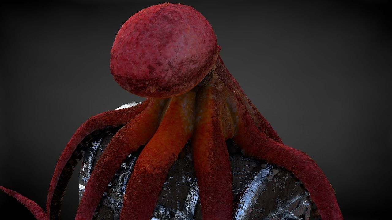 Pacific Octopus Rigged Animated C4D Low-poly 3D model_30