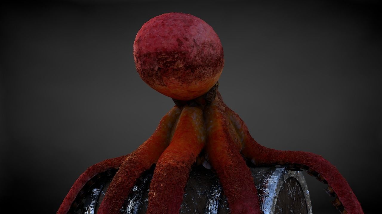 Pacific Octopus Rigged Animated C4D Low-poly 3D model_26