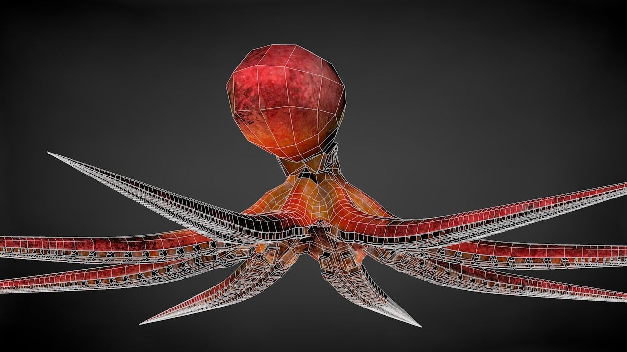 Pacific Octopus Rigged Animated C4D Low-poly 3D model_45