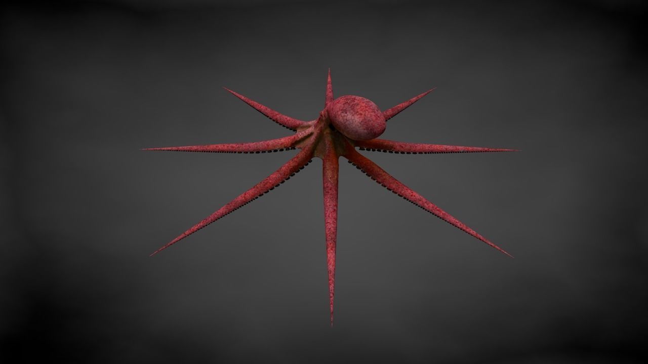 Pacific Octopus Rigged Animated C4D Low-poly 3D model_24
