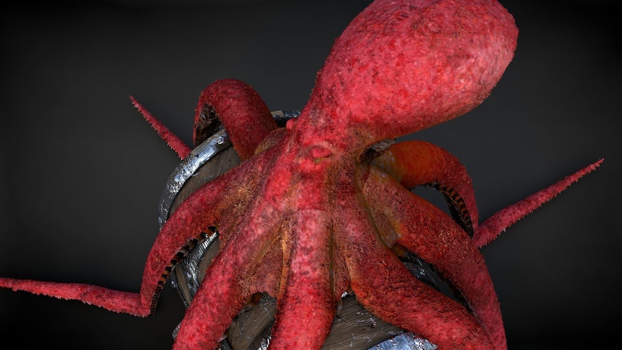 Pacific Octopus Rigged Animated C4D Low-poly 3D model_33