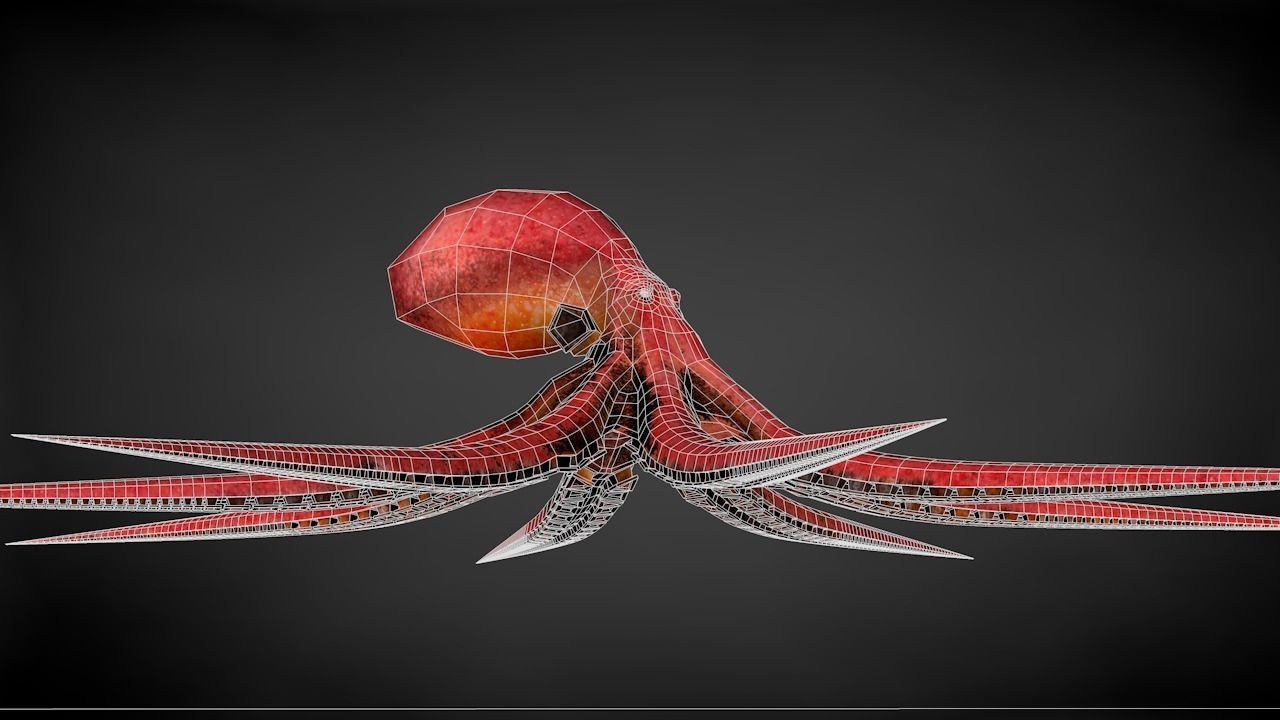 Pacific Octopus Rigged Animated C4D Low-poly 3D model_31