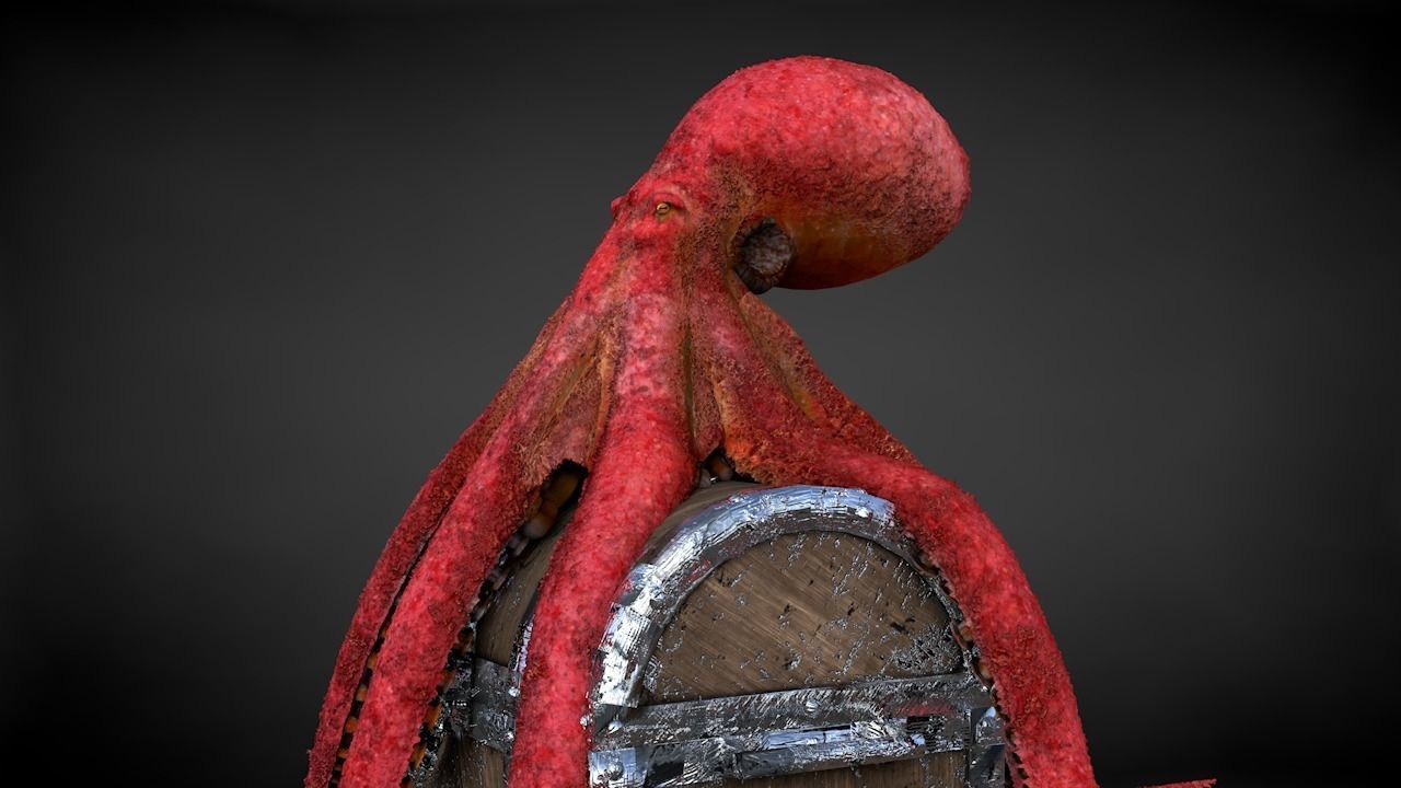 Pacific Octopus Rigged Animated C4D Low-poly 3D model_25